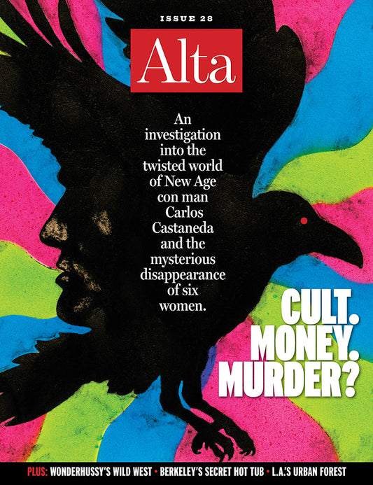 ISSUE 28